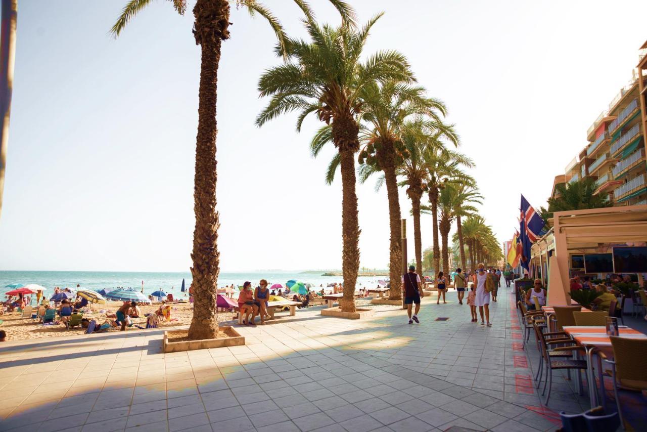 Holiday Studio Jardin Playa Torrevieja Eksteriør bilde